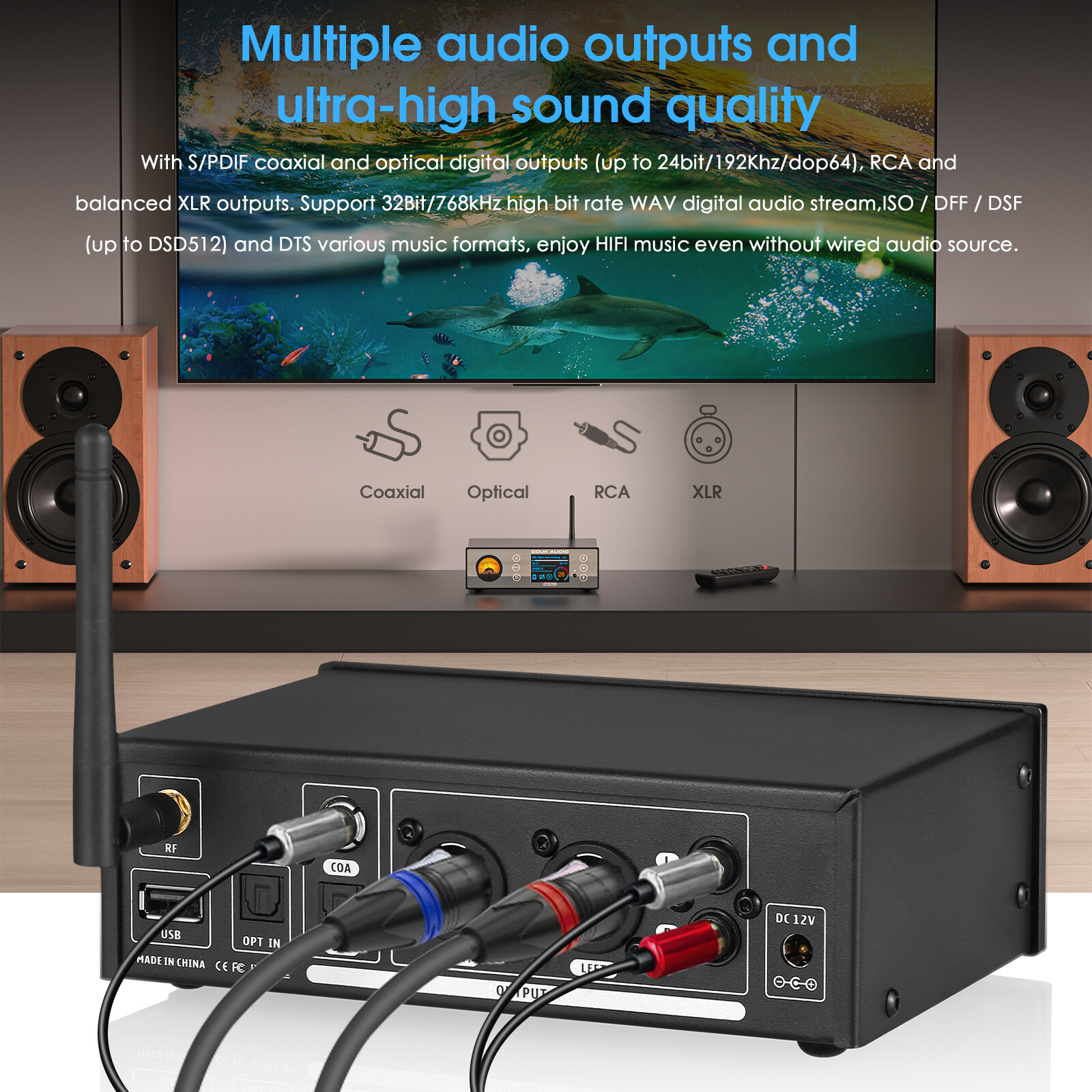 Douk Audio C100 PRO Hi-res ESS9038 Preamp Bluetooth Streamer Player DSD512