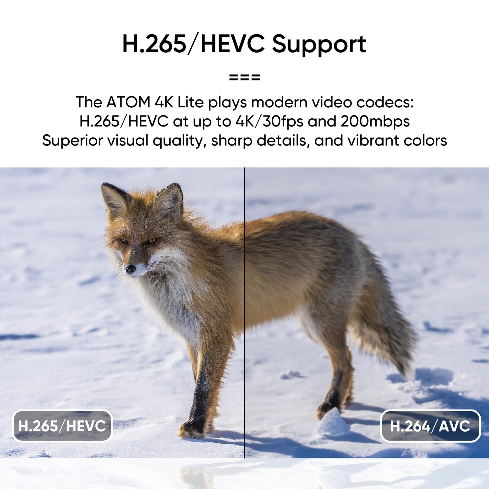 4K Ultra HD Digital Media Player for USB & SD Cards – Plays HEVC/H.265, HDMI, AV