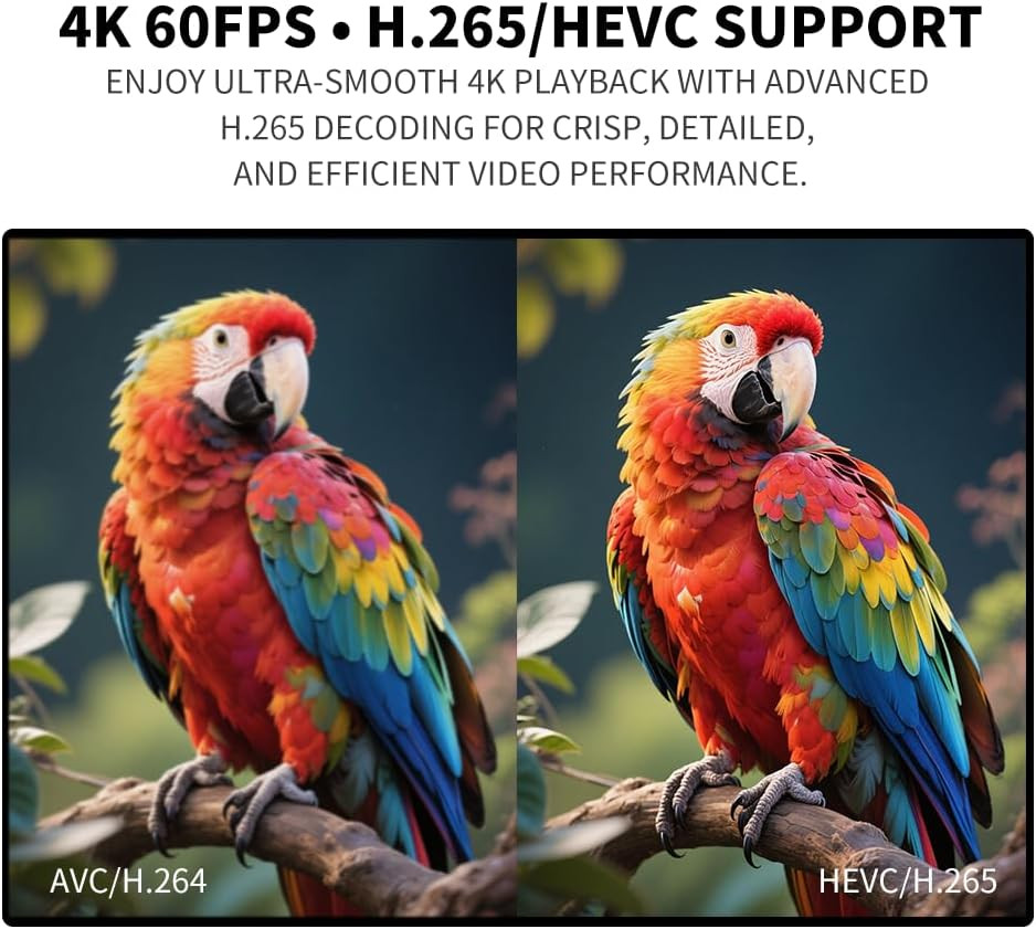 4K Media Player for USB Drive & Microsd, Ultra HD Digital Signage Player