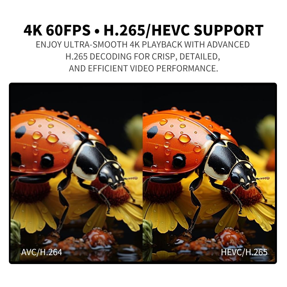 4K Media Player USB Drive SD Ultra HD HDMI AV Output H.265 H.264 MKV MP4 MP3 JPG